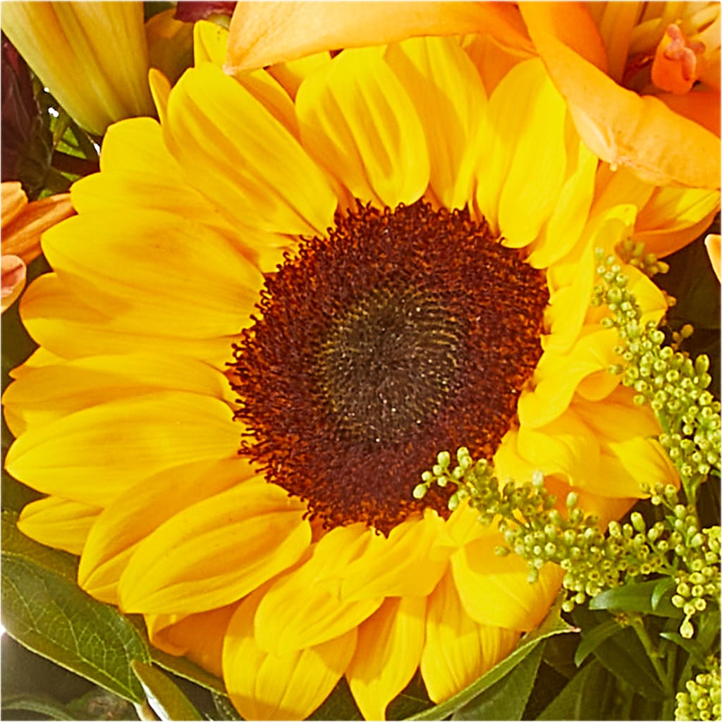 Seasons Change Bouquet – COBORN'S INC FLORAL SHOPPES, Saint Cloud MN