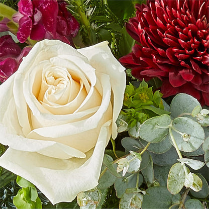 Cranberry Fizz Bouquet – COBORN'S INC FLORAL SHOPPES, Saint Cloud MN