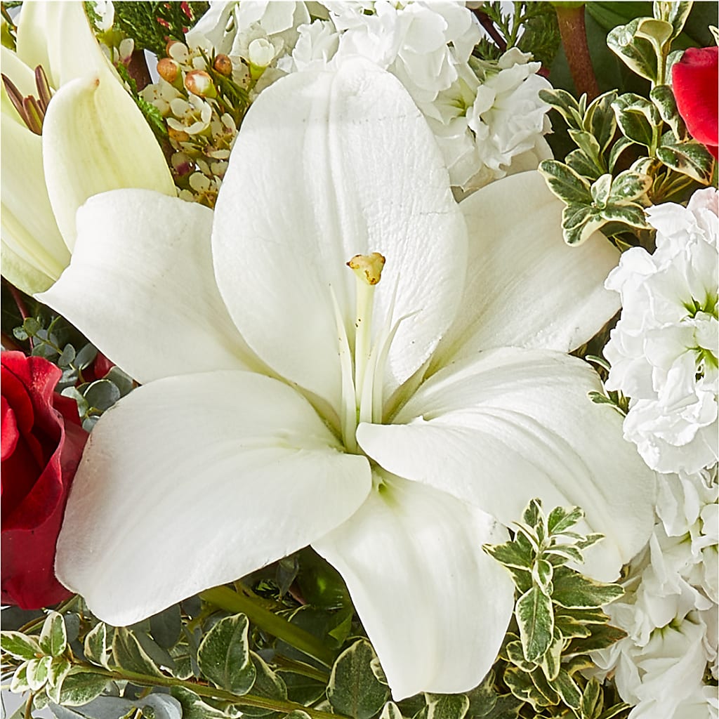 Twinkle Lights Bouquet – COBORN'S INC FLORAL SHOPPES, Saint Cloud MN