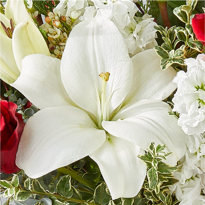 Twinkle Lights Bouquet – COBORN'S INC FLORAL SHOPPES, Saint Cloud MN