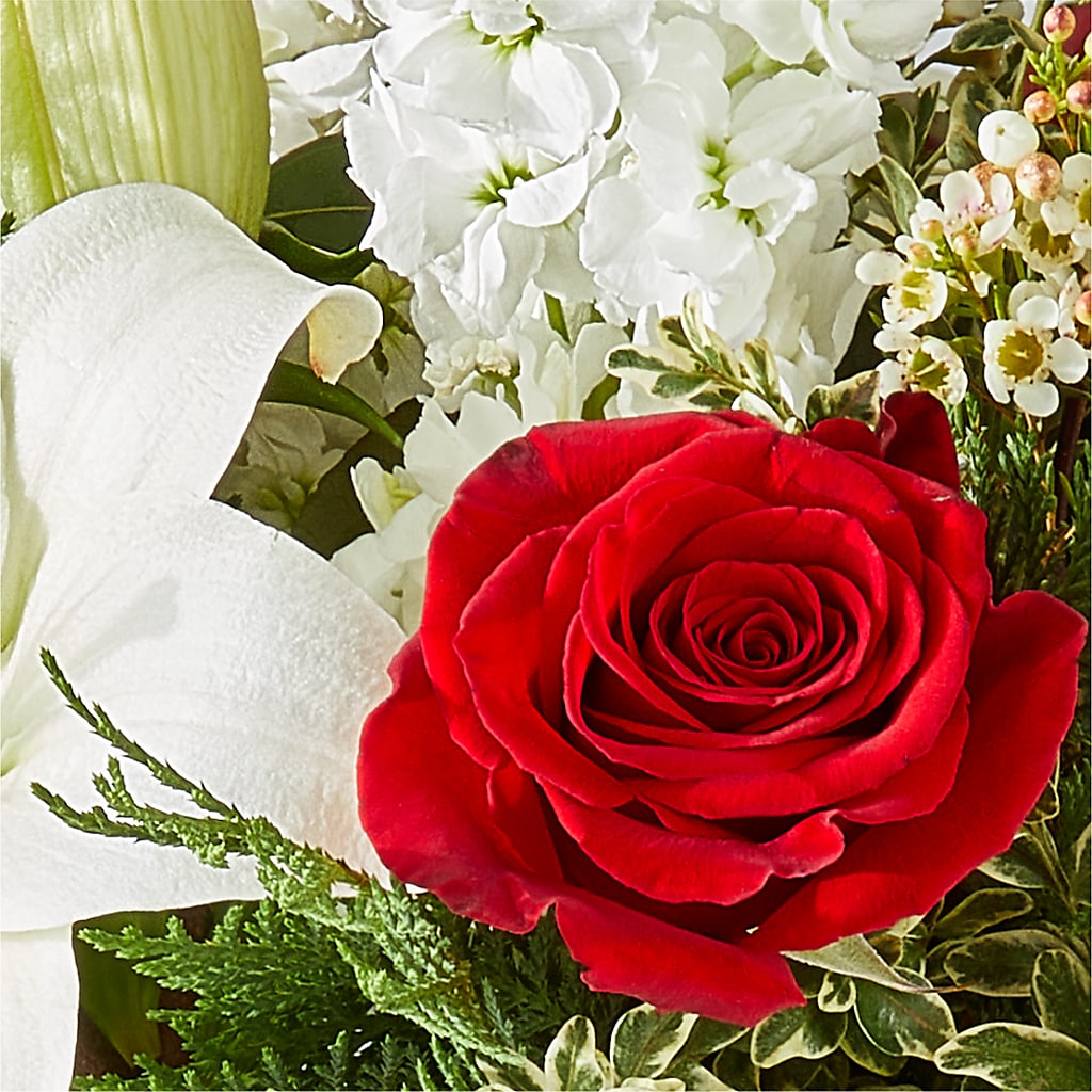 Twinkle Lights Bouquet – COBORN'S INC FLORAL SHOPPES, Saint Cloud MN