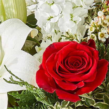 Twinkle Lights Bouquet – COBORN'S INC FLORAL SHOPPES, Saint Cloud MN