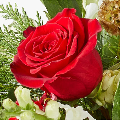 Deck the Halls Bouquet – COBORN'S INC FLORAL SHOPPES, Saint Cloud MN