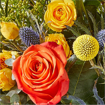 Disco Bouquet – COBORN'S INC FLORAL SHOPPES, Saint Cloud MN