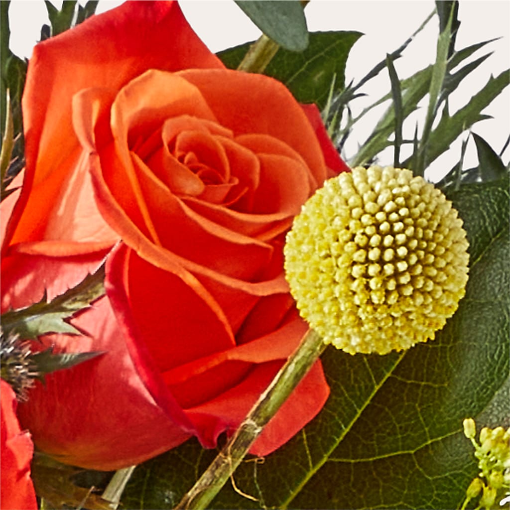Disco Bouquet – COBORN'S INC FLORAL SHOPPES, Saint Cloud MN