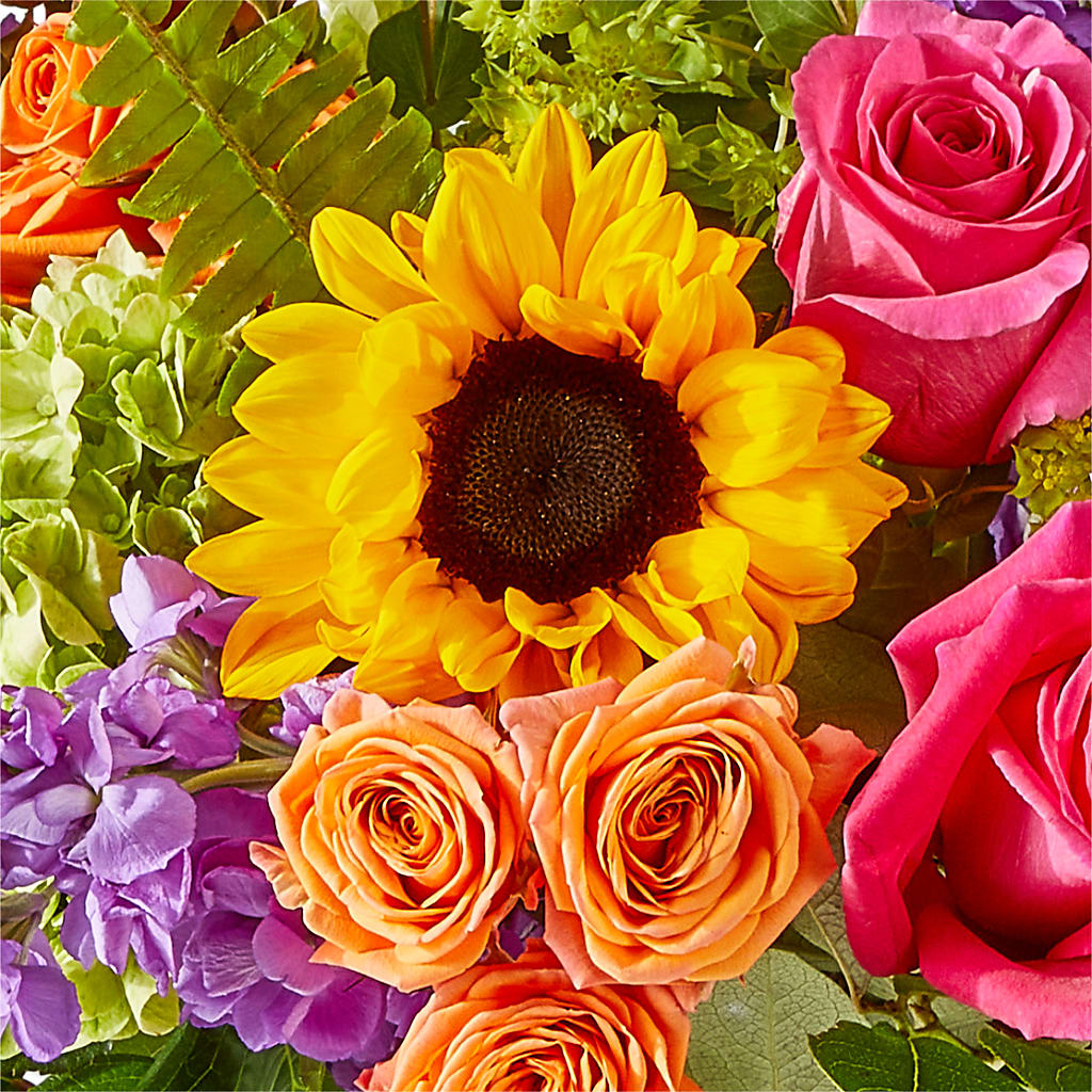 Vibrant Greetings Bouquet – COBORN'S INC FLORAL SHOPPES, Saint Cloud MN