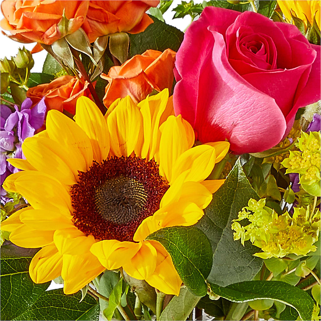 Vibrant Greetings Bouquet – COBORN'S INC FLORAL SHOPPES, Saint Cloud MN