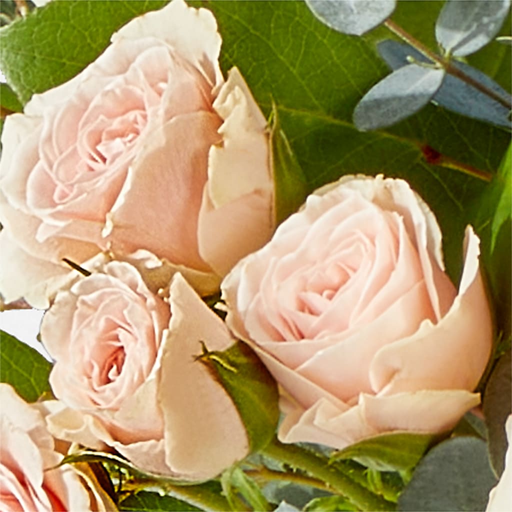 Inspired Bouquet – COBORN'S INC FLORAL SHOPPES, Saint Cloud MN