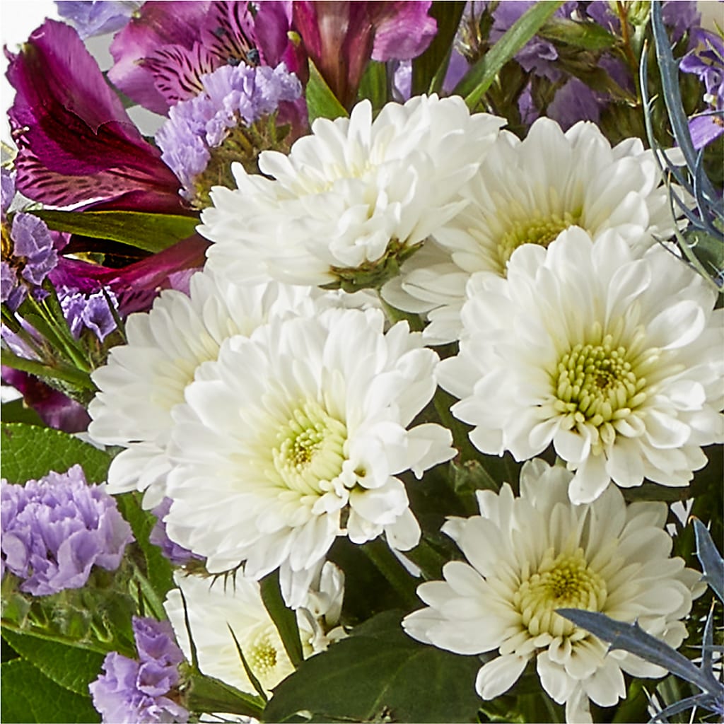 Shooting Star Bouquet – COBORN'S INC FLORAL SHOPPES, Saint Cloud MN