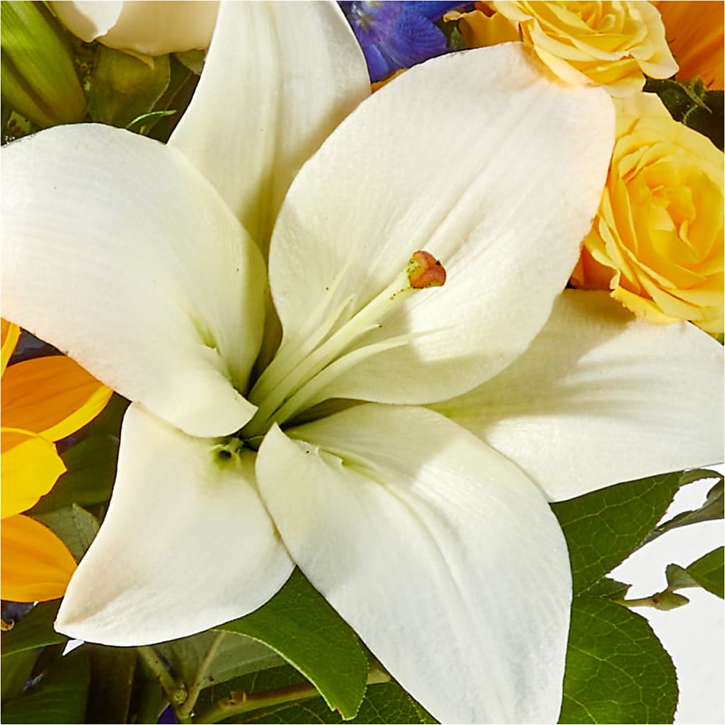 Wonderfully Sunny Bouquet – COBORN'S INC FLORAL SHOPPES, Saint Cloud MN