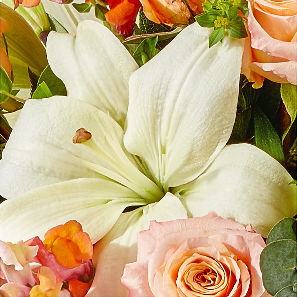 Grapefruit Splash Bouquet – COBORN'S INC FLORAL SHOPPES, Saint Cloud MN