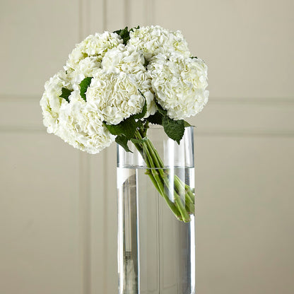 White Hydrangea Hand-Tied Bouquet – COBORN'S INC FLORAL SHOPPES, Saint Cloud MN