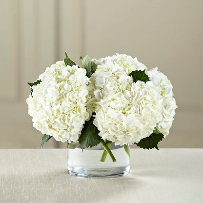 White Hydrangea Bouquet – COBORN'S INC FLORAL SHOPPES, Saint Cloud MN